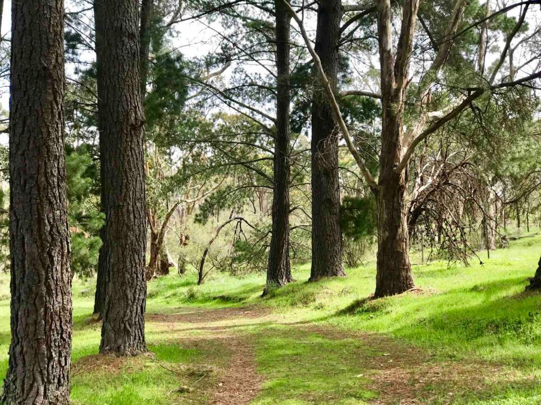 Hotel Adelaide Hills Escape Woodside Esterno foto