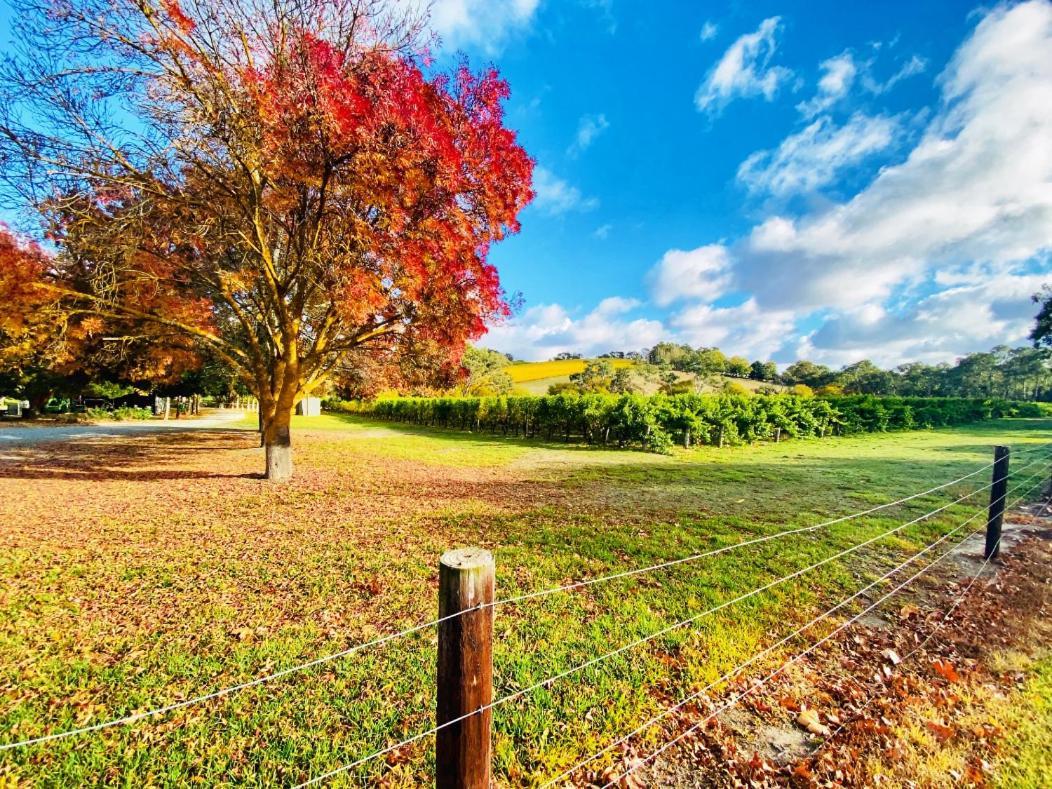 Hotel Adelaide Hills Escape Woodside Esterno foto
