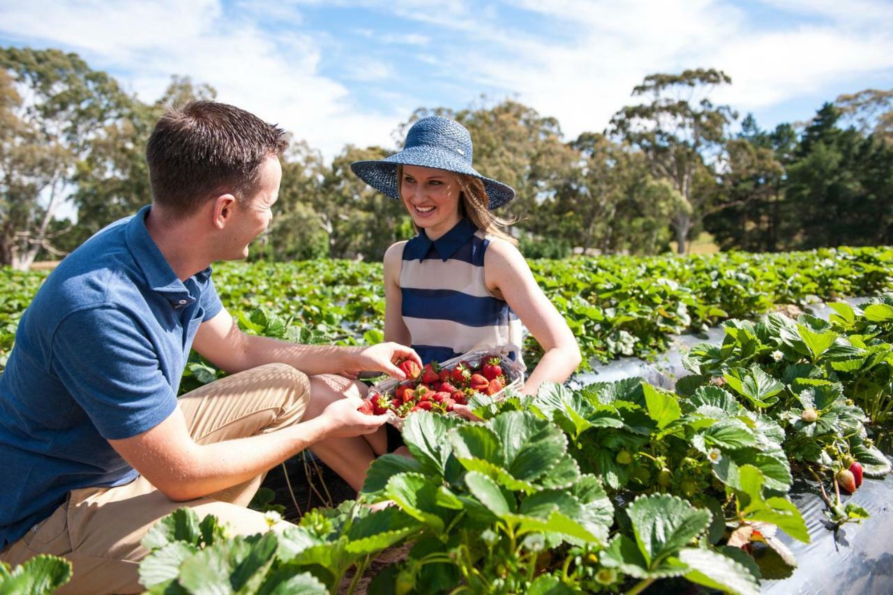 Hotel Adelaide Hills Escape Woodside Esterno foto
